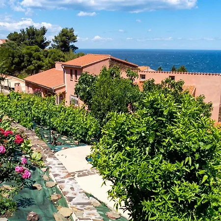 Avec Vue Sur La A - 55 M² - Terrasse * Collioure